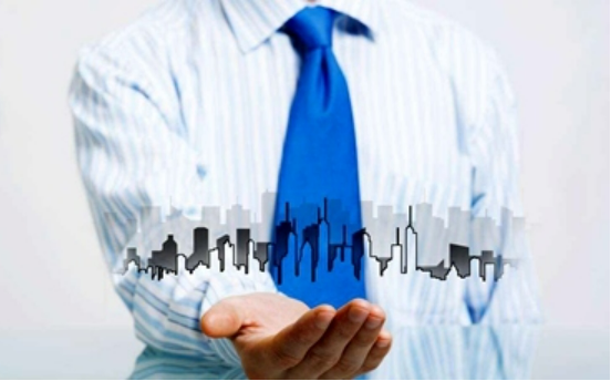 定制保险与法律服务