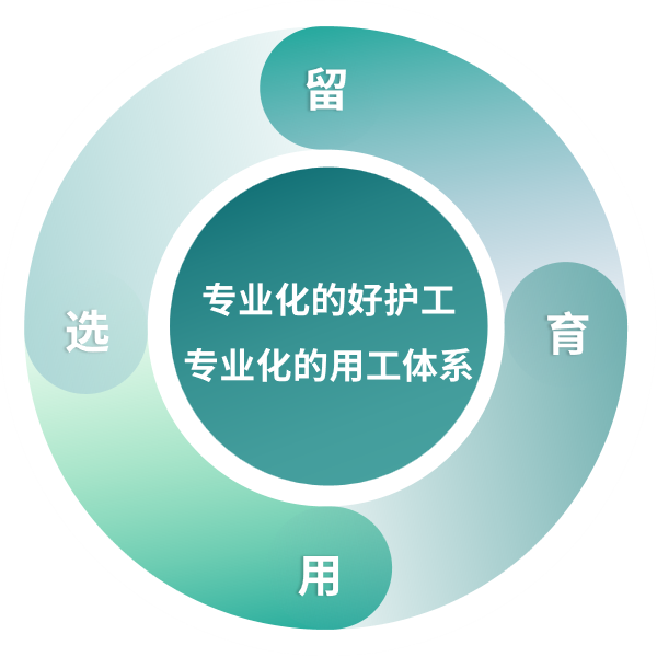 专业化护工体系